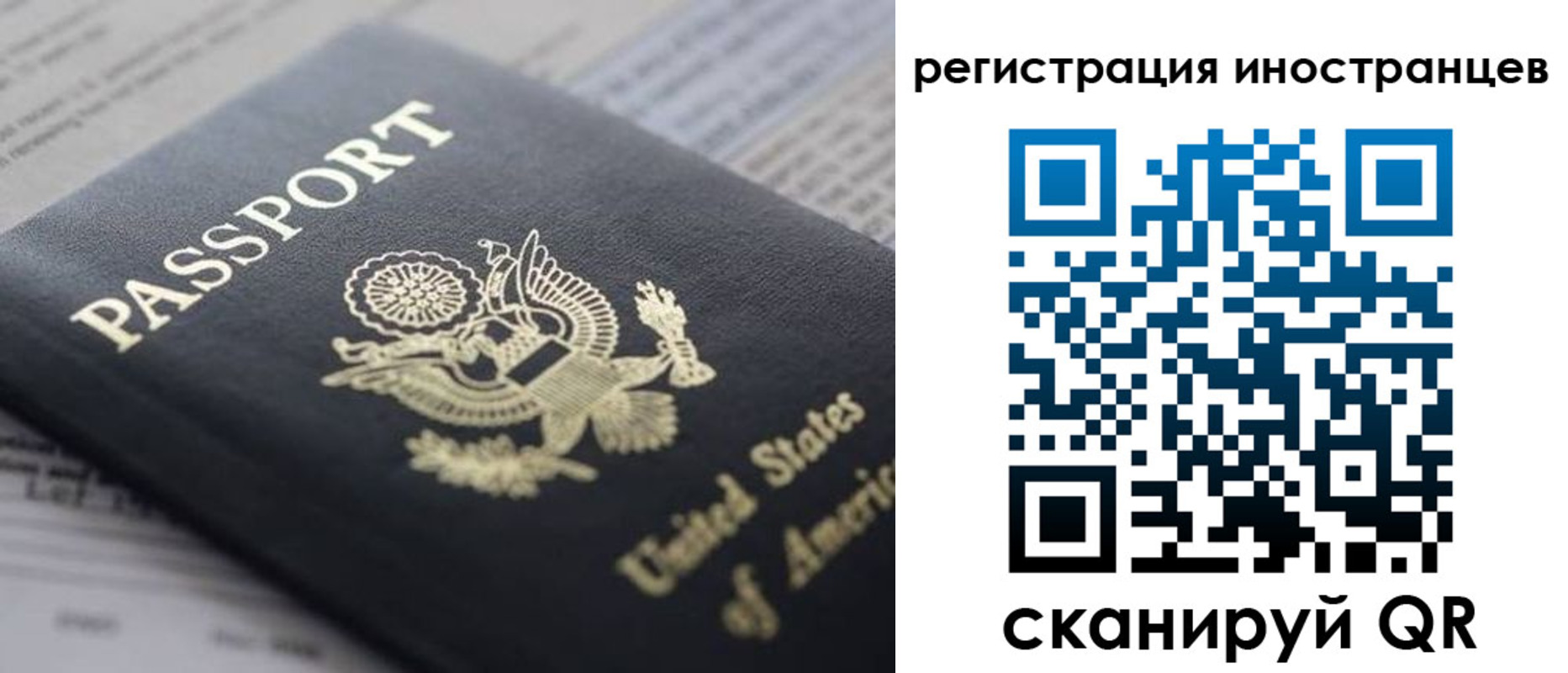 регистрация в Апатитах
